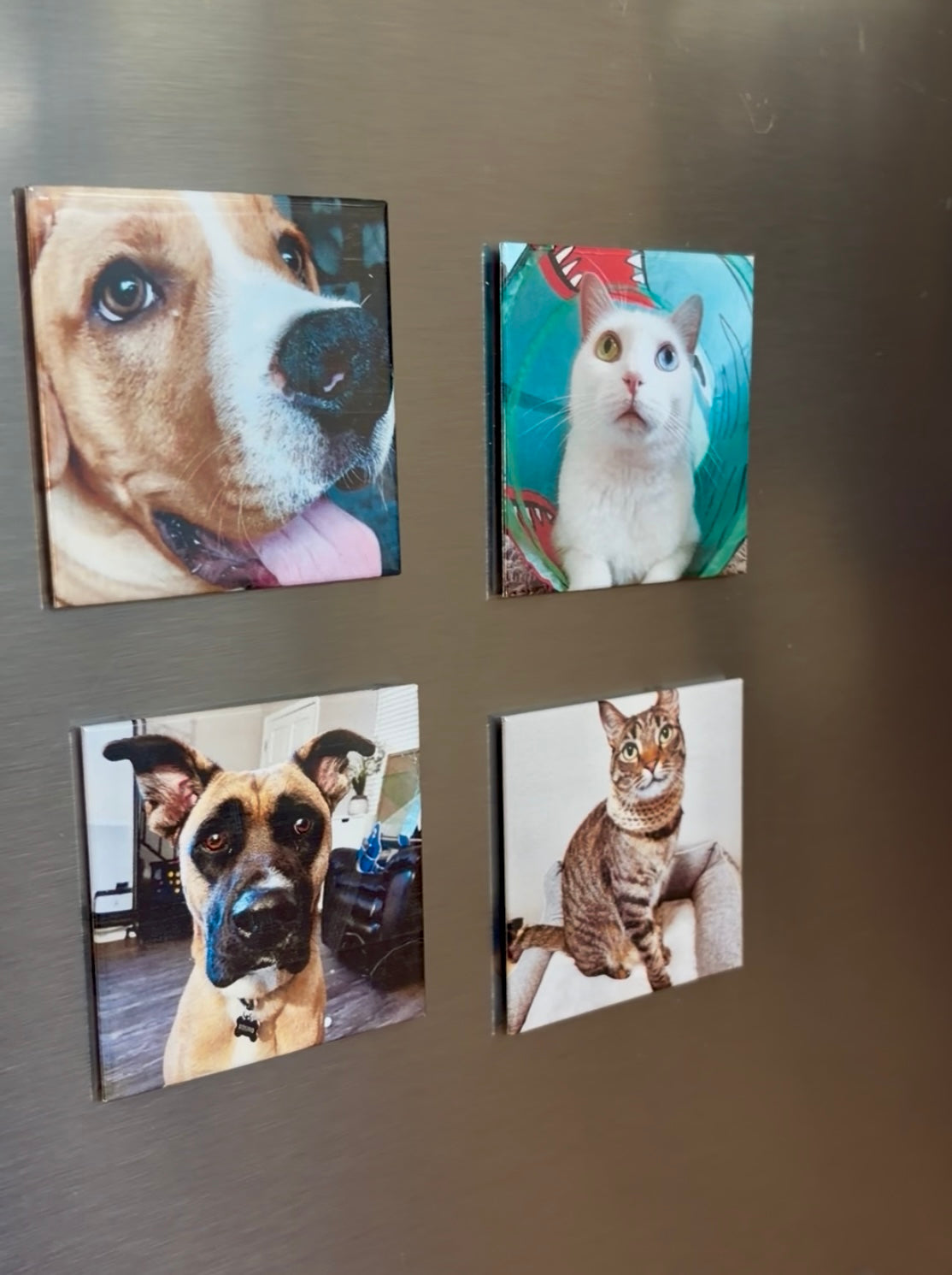 Custom 2.5"x2.5" Photo Magnet Bundles